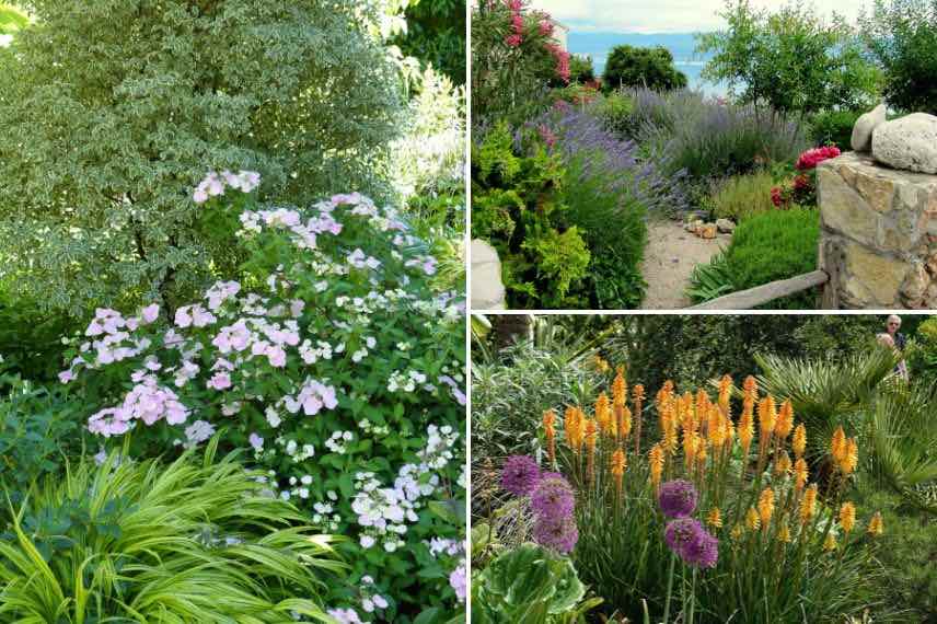 massifs de vivaces et arbustes