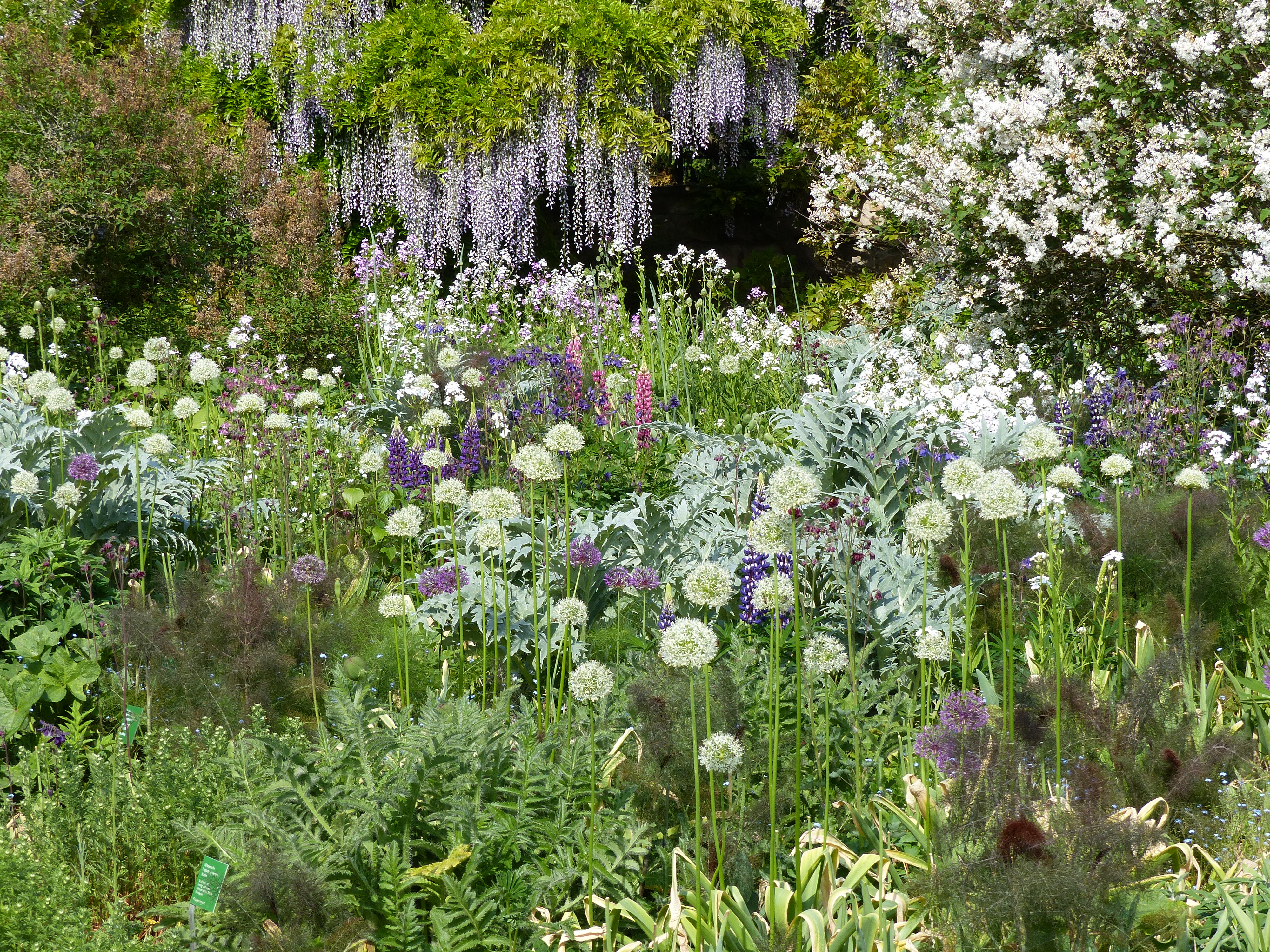 Le jardin Hermannshof en mai
