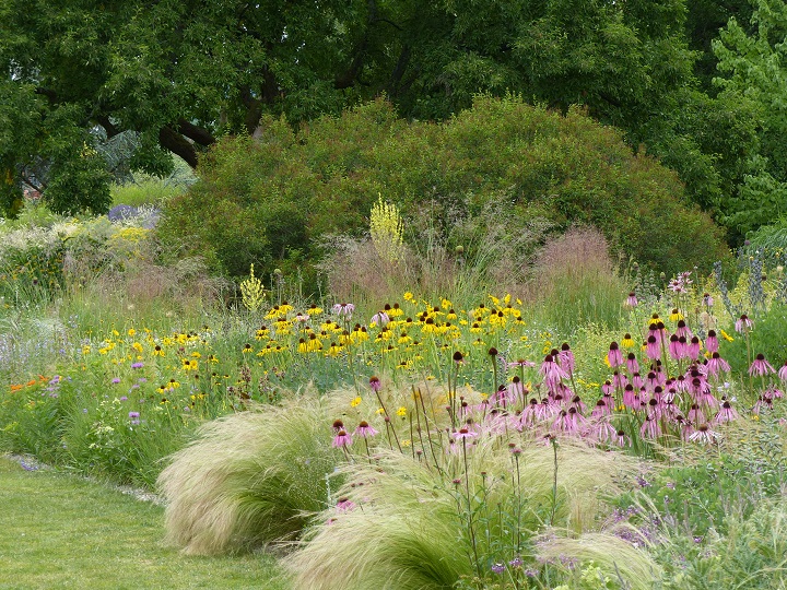 Le jardin Hermannshof en juin