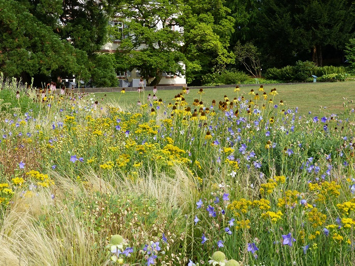 Le jardin Hermannshof en juillet et août