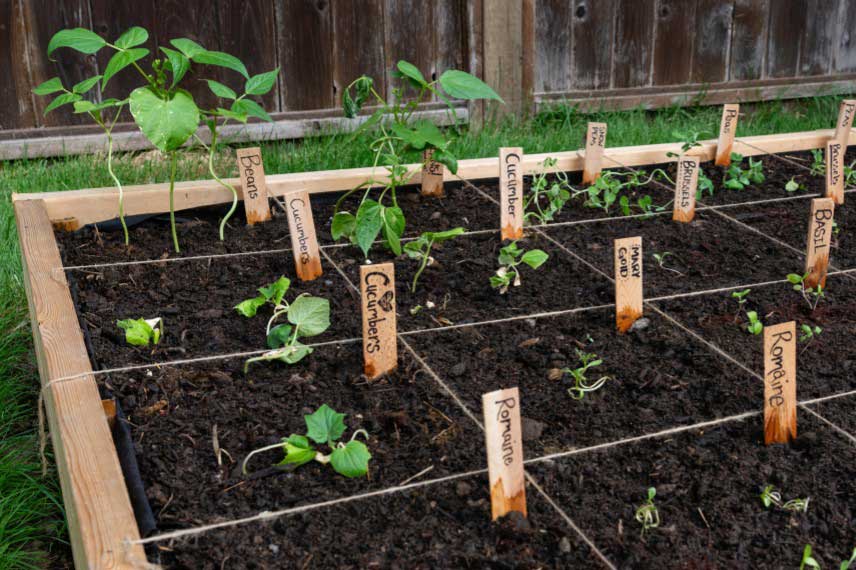 Comment faire un potager en carres