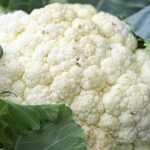 Réussir la culture du chou-fleur et du chou brocoli