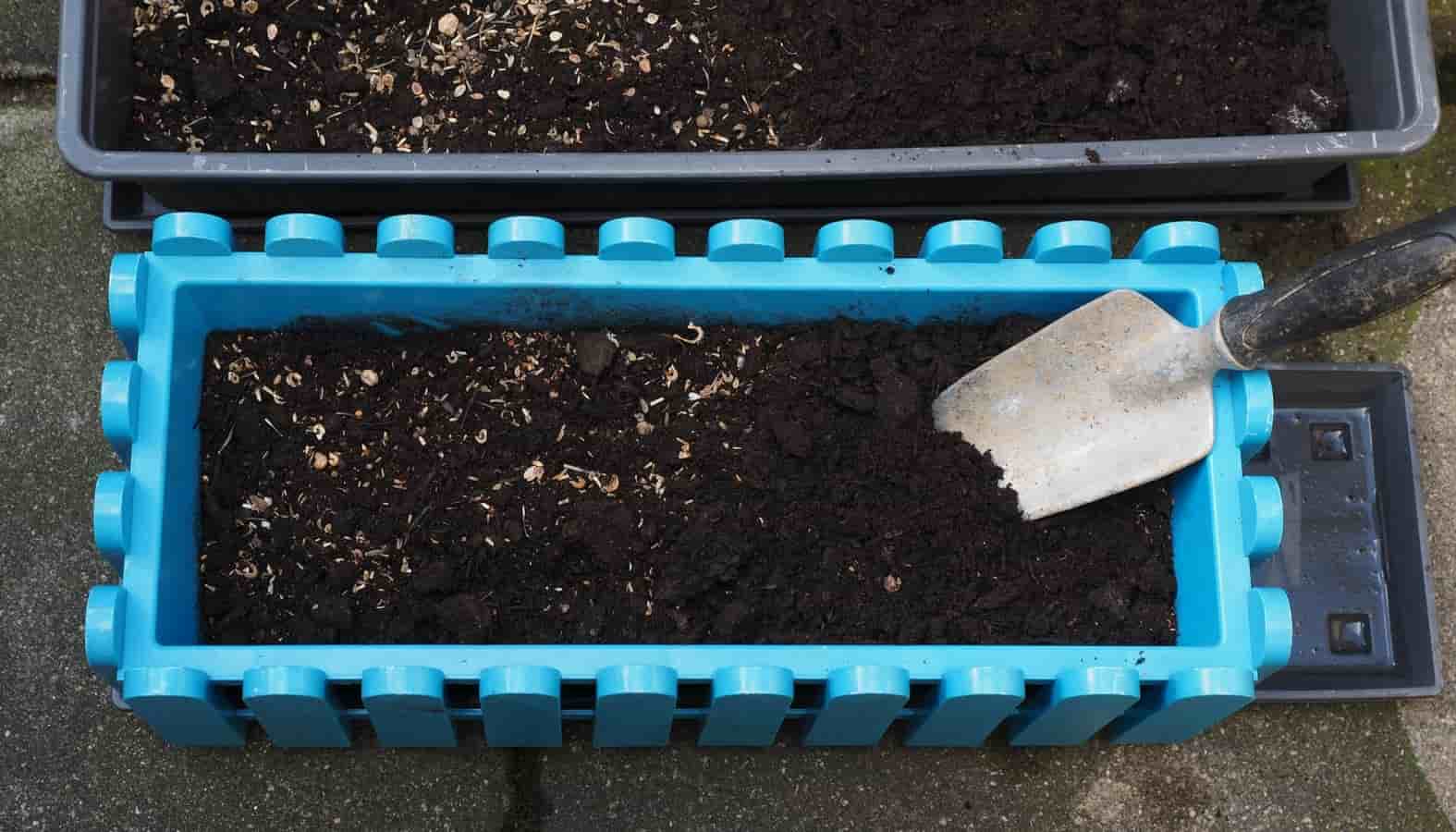 Planter les bisannuelles en jardinière