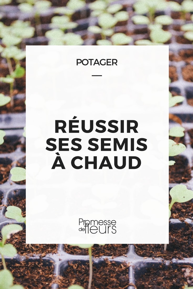 Réussir ses semis à chaud