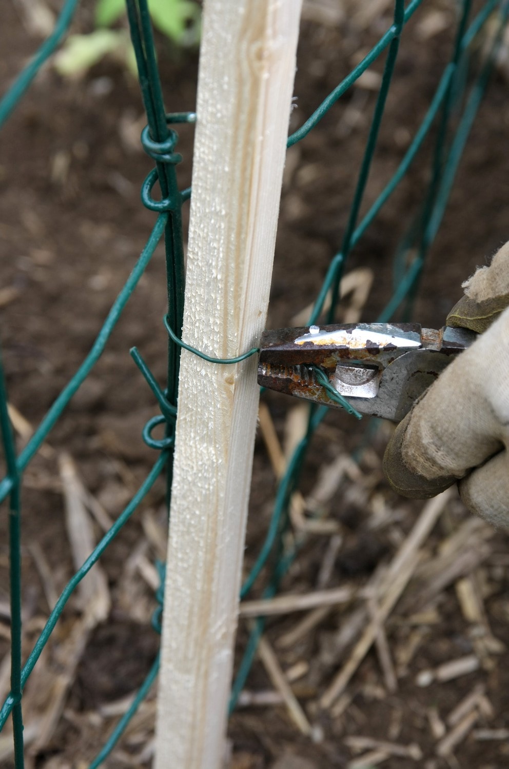 Cage à tomates : fixation