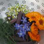 Les meilleures fleurs comestibles pour le jardin