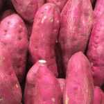 Réussir la culture de la patate douce pour de belles récoltes