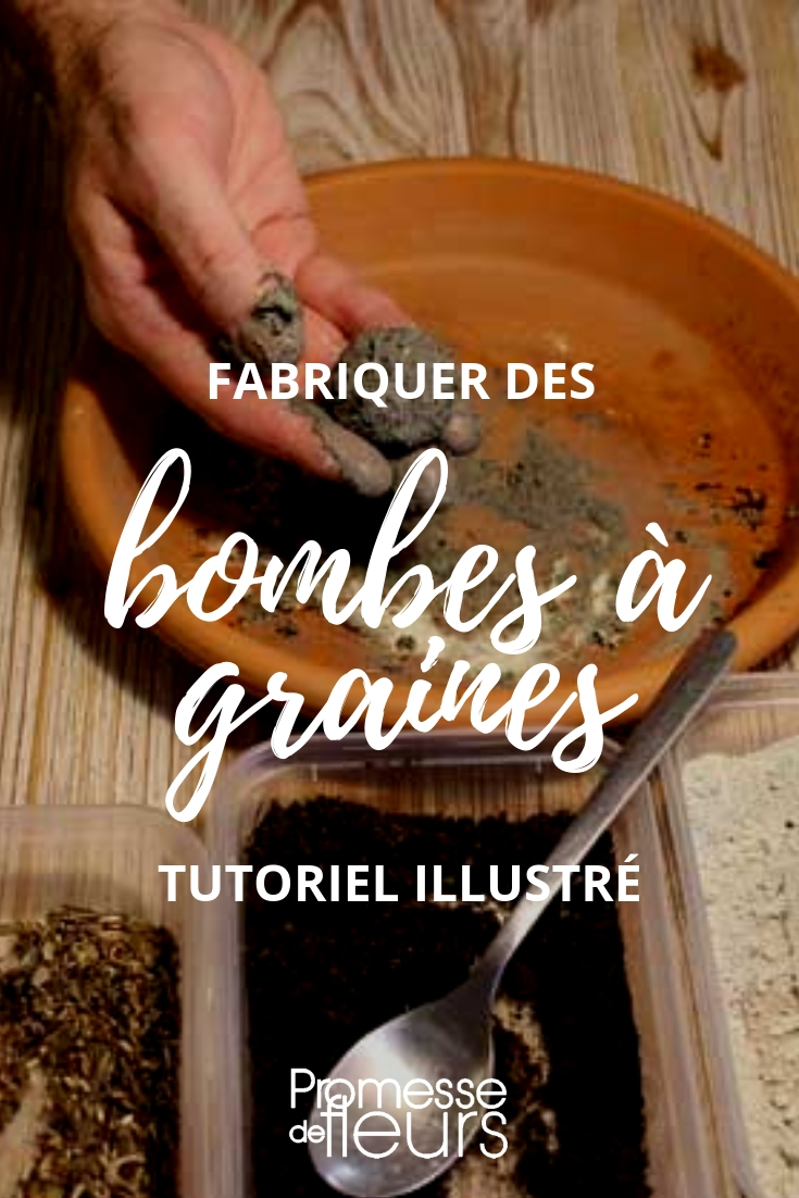 Bombes à graines ou seed bomb : tuto pour les fabriquer