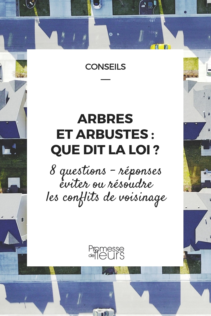 arbres et arbustes : que dit la loi