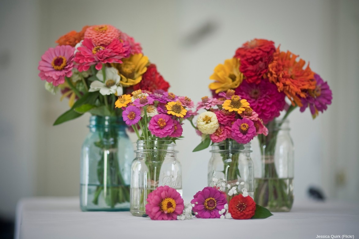 zinnia bouquet