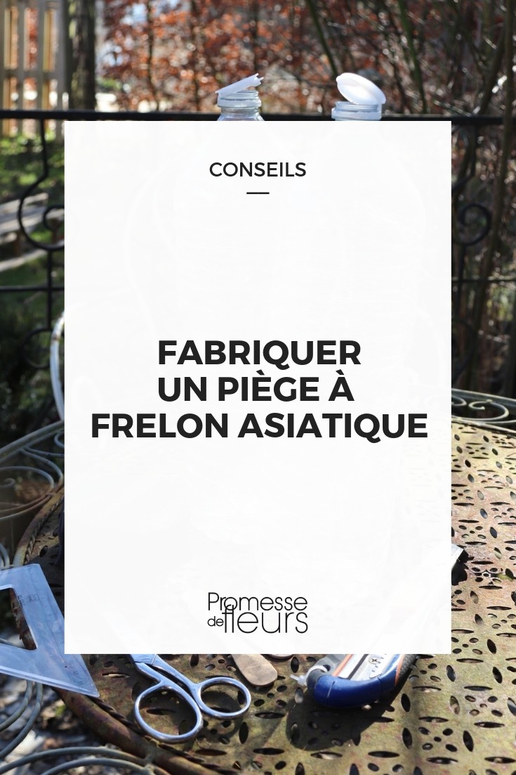 réaliser piège frelon asiatique