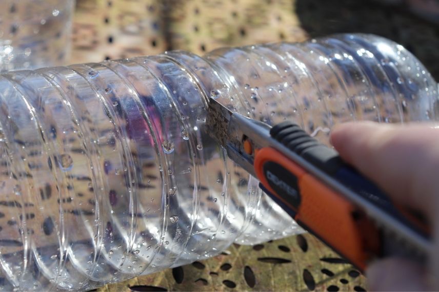 réaliser un piège pour frelon asiatique