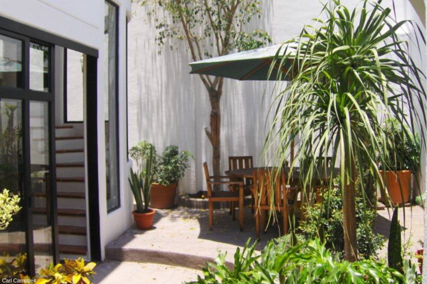 transformer une cour en jardin