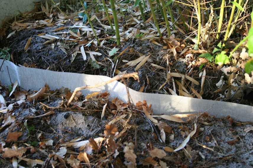lutter contre la prele au jardin