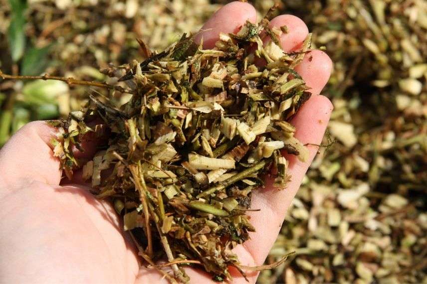 broyeurs de végétaux, que choisir