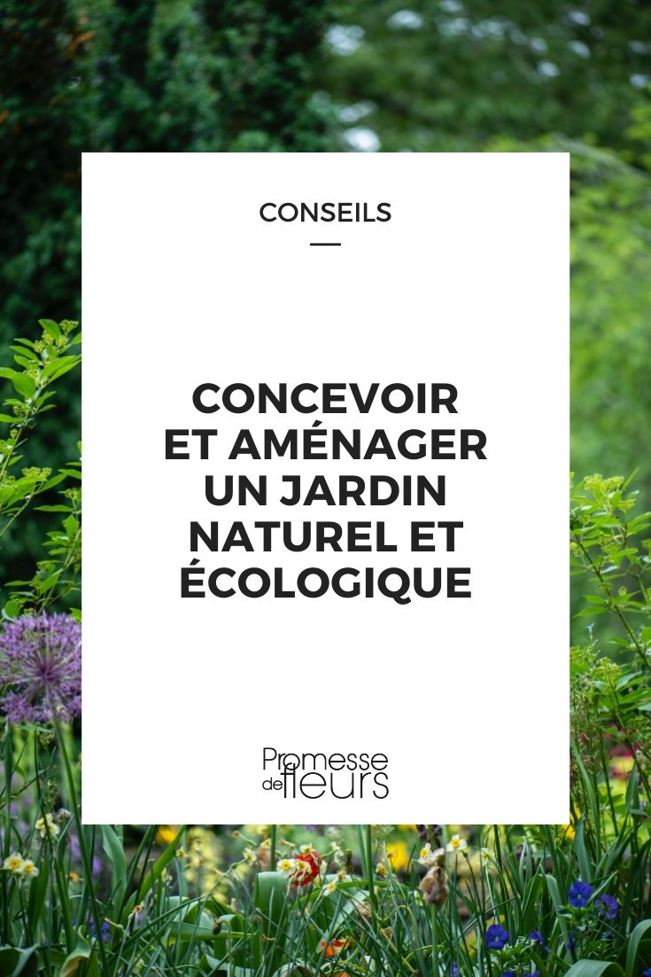 jardin naturel et écologique : conception, choix des plantes