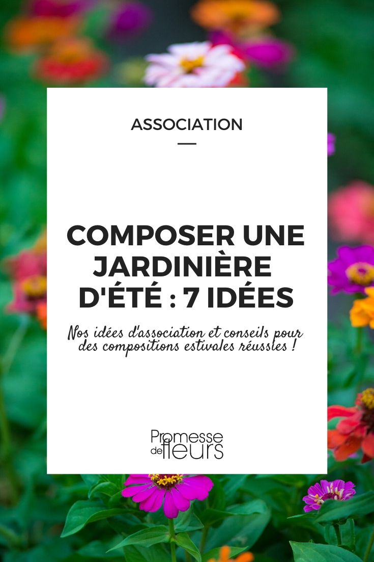 composer une jardinière d'été _ 7 idées
