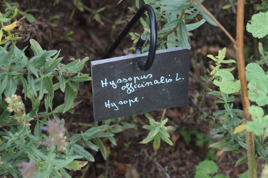 Bien choisir ses étiquettes