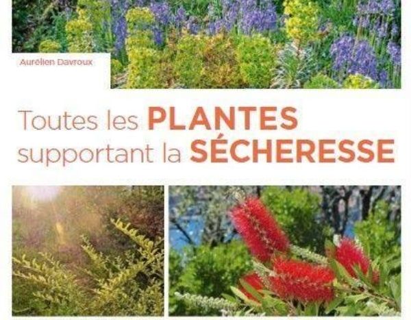 Toutes les plantes supportant la sécheresse d'Aurélien Davroux - Editions Ulmer