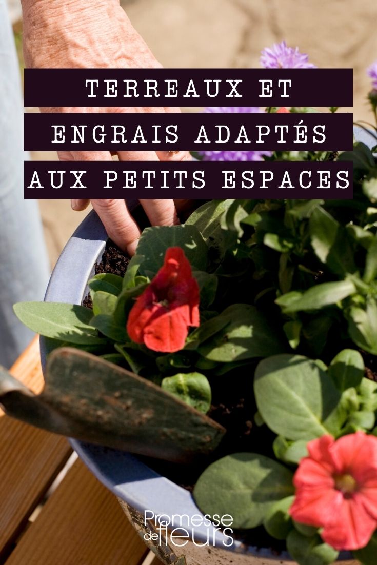 Terreaux et engrais pour petit espace, balcon et terrasse : les dernières innovations