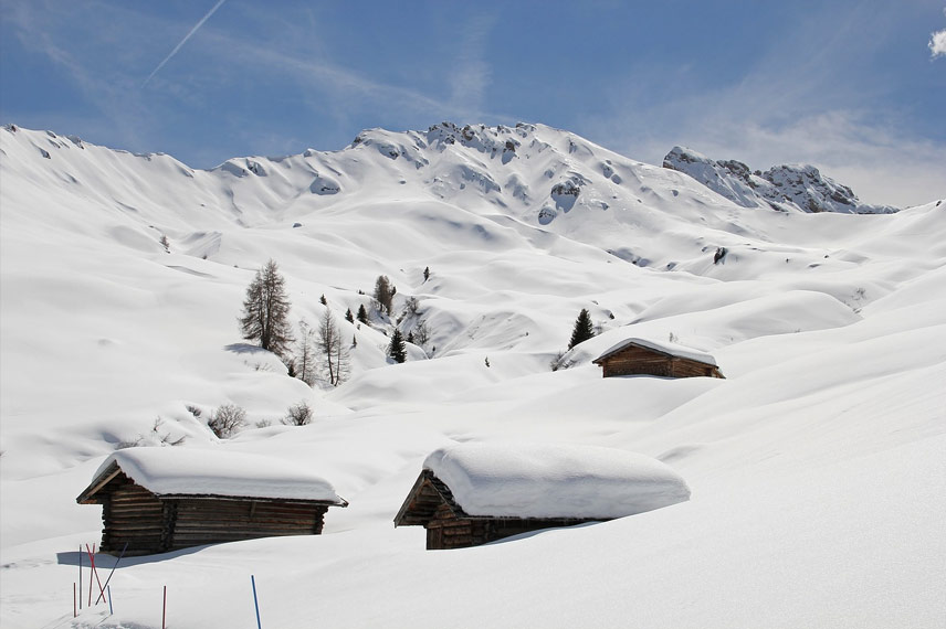 Jardin potager en montagne : des conditions de culture particulières