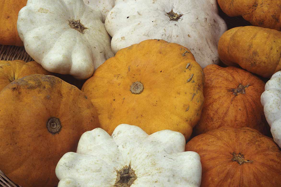 Pâtissons blancs et oranges