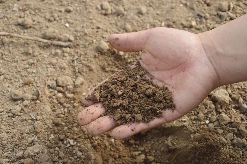 Reconnaître un sol calcaire