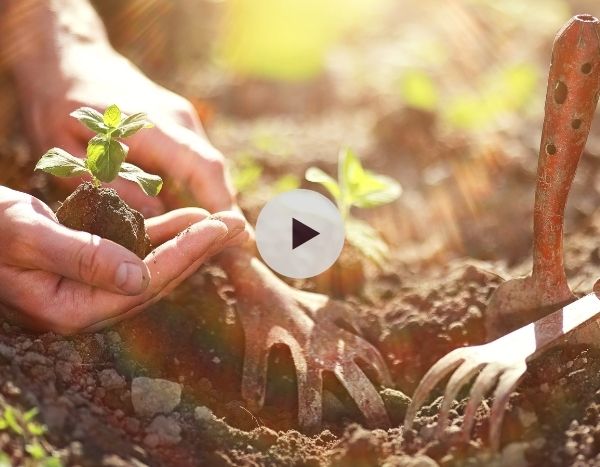 Comment prendre soin de son sol ?