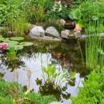 Les erreurs à éviter lors de l'installation d'un bassin de jardin