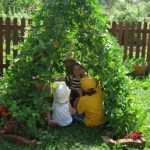 Tipi de haricots à rames : une activité jardinage facile avec les enfants