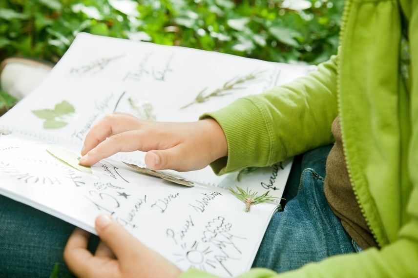 La fabrication d’un herbier avec les enfants, un moment de partage