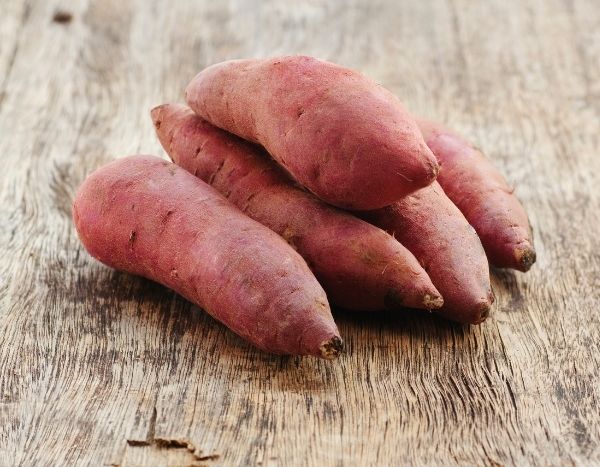 Planter des minimottes de patates douces