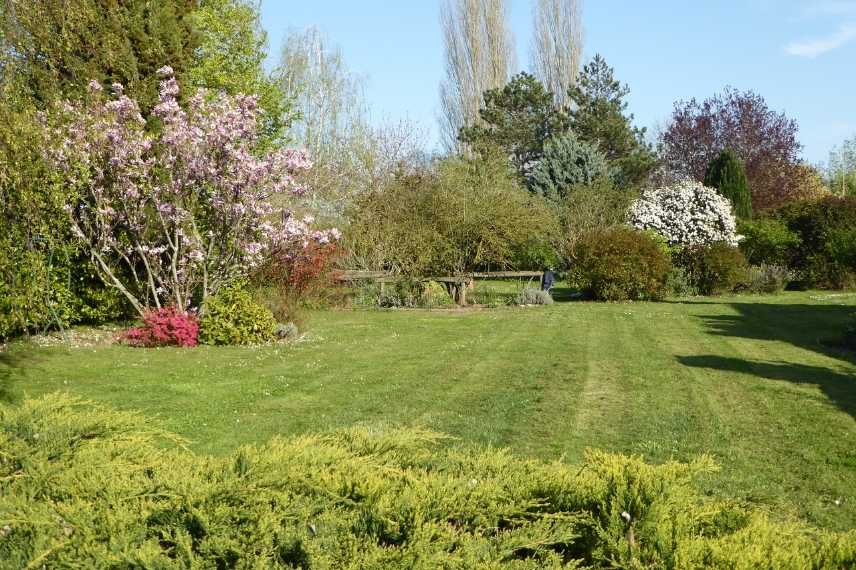 Relief au jardin, Aménager un jardin plat, aménagement jardin plat