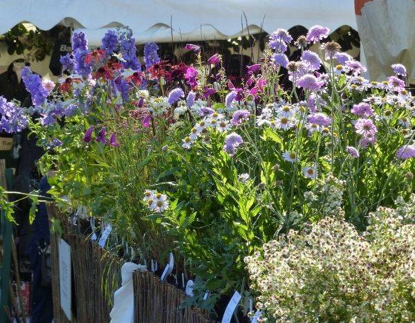 À vos agendas : fêtes des plantes d'automne 2021