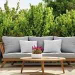 Casser le vent sur une terrasse : les plantes qu'il vous faut !