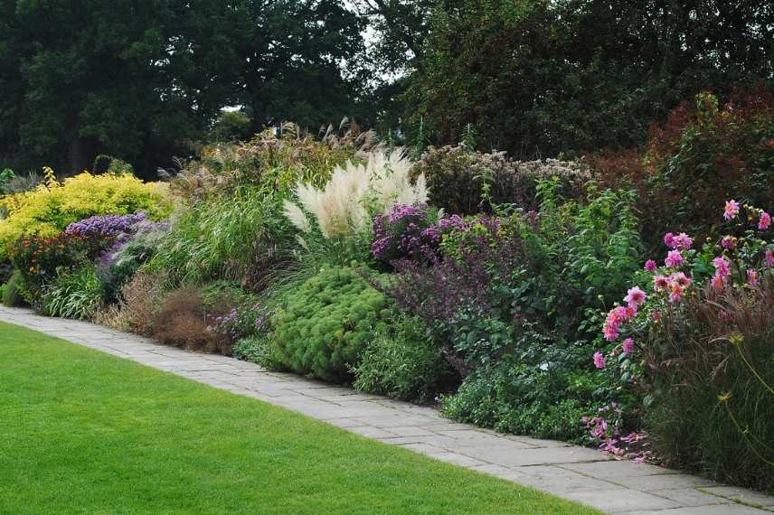 mixed border, mixed-border, bordure mixte, plate bande à l'anglaise