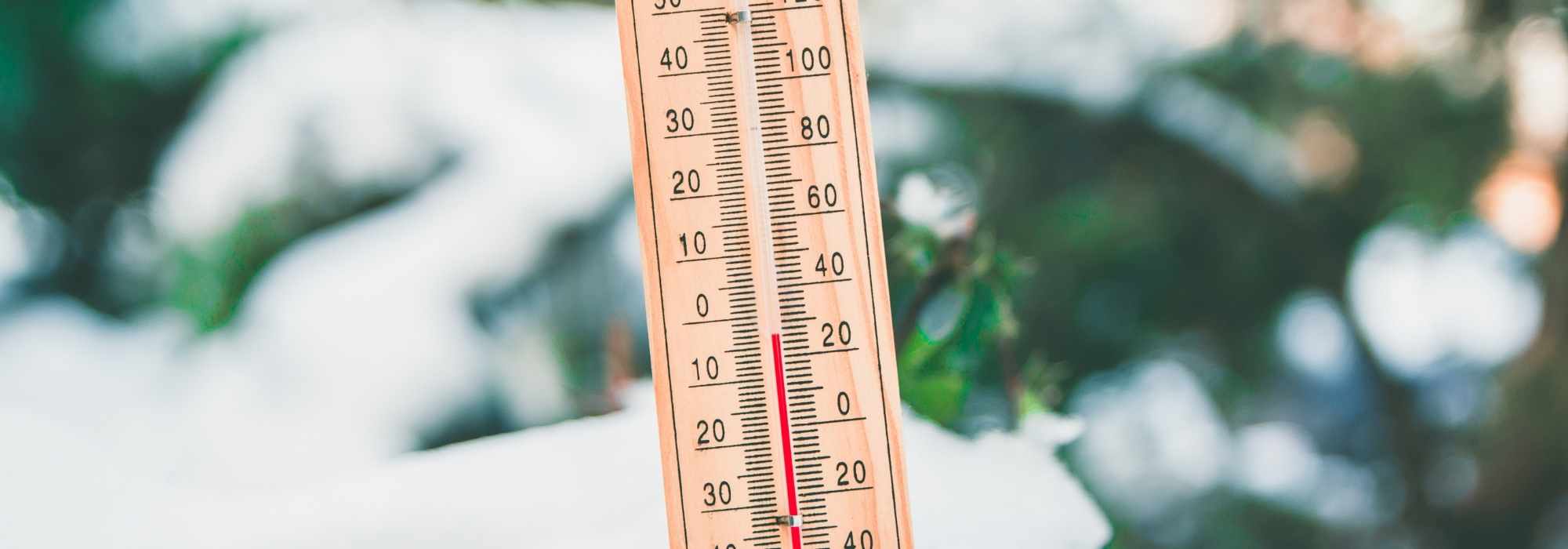 Gelées tardives, printemps froid : que faire au jardin ?