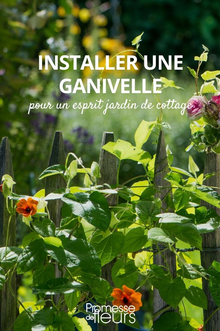 installer une ganivelle ou cloture en chataigner