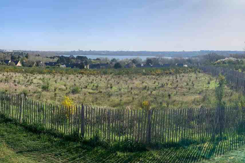 micro foret, foret urbaine, reforestation, Miyawaki