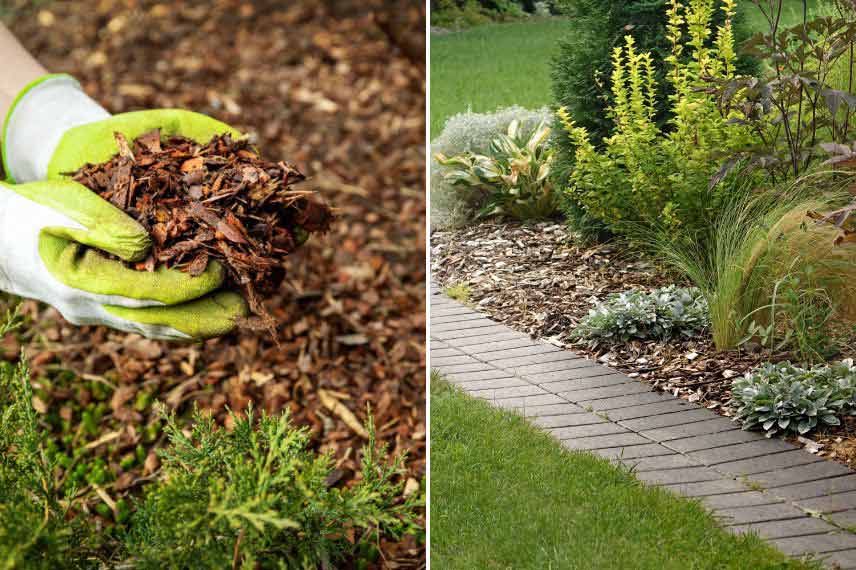 protéger le jardin orage pluie grêle