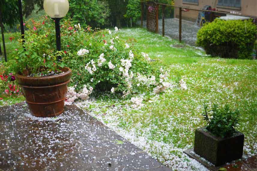 protéger le jardin orage pluie grêle