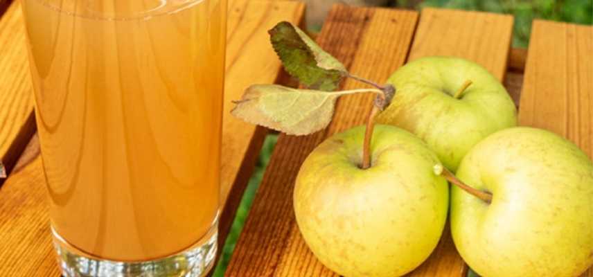 Pommes a cidre quelle variete choisir, meilleures varietes pommes pommiers cidre