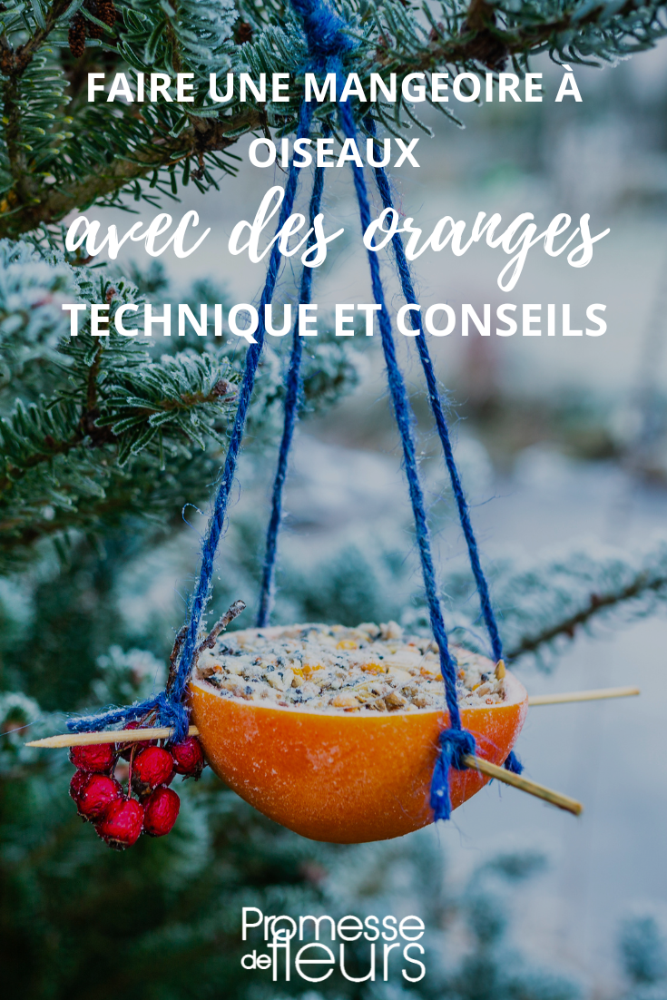 Mangeoire pour les oiseaux en écorce d'orange