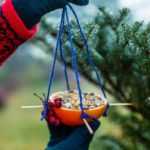 Comment faire une mangeoire à oiseaux avec des oranges ?