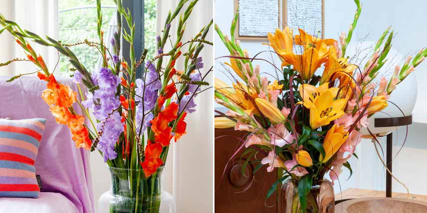 Bulbes d'été pour bouquets : glaïeuls