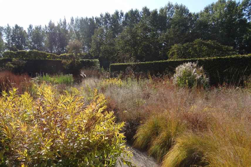 Jardin laisser faire, jardin sauvage, jardin naturel sans entretien
