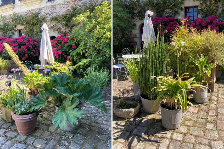 comment planter en pot, plantation en pot conseils, plantation sur balcon, plantation sur terrasse, plantation patio, plantation dans une cour, plante pot astuce