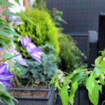 Comment habiller une rambarde de balcon ?