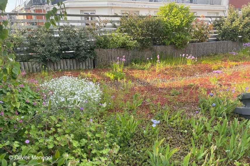 aménager un toit terrasse, aménagement toiture terrasse, conseils idées toit terrasse, quelles plantes sur un toit terrasse, plantes resistantes sur toiture terrasse, inspiration toit terrasse, reglementation toit terrasse