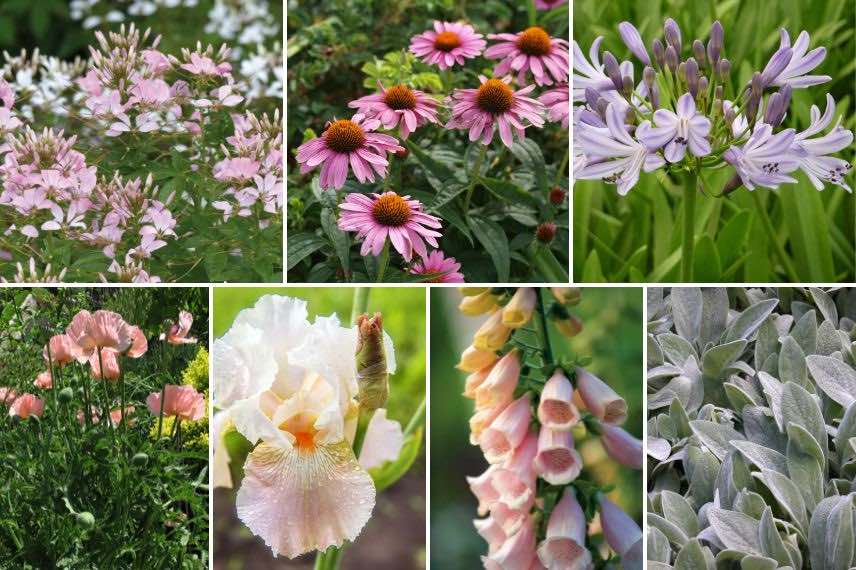 mixed-border